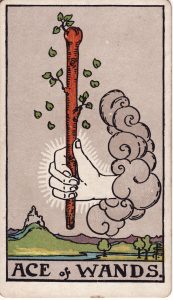 Ace of Wands from tarot minor arcana