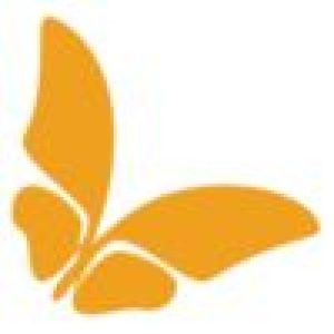 Square orange butterfly graphic