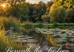 Peaceful pond with lily pads, pink water lilies, a blue heron, and a turtle surfacing in the morning light.